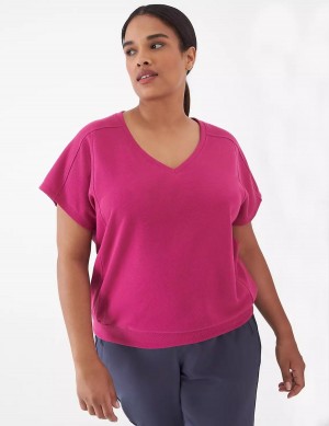 Fuchsia Lane Bryant LIVI French Terry Short-Sleeve Women Sweatshirts | PJR4925RW