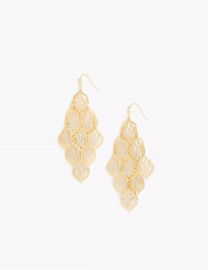 Gold Lane Bryant Zebra Print Chandelier Women Earrings | IJA299LP