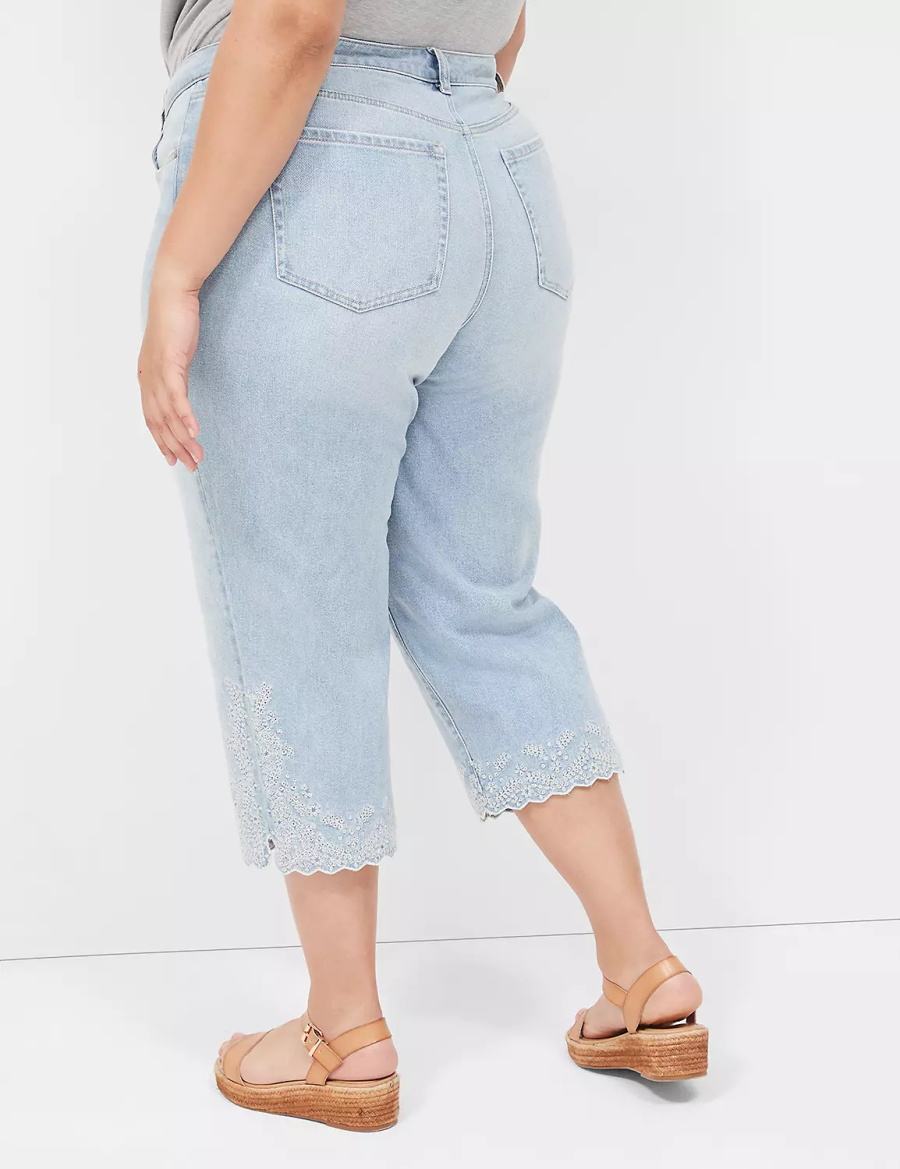 Light Blue Lane Bryant Boyfriend Fit Capri With Embroidery Women Jeans | YUQ1479KC